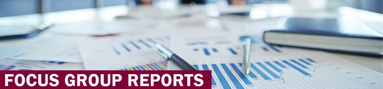 Focus Group Reports