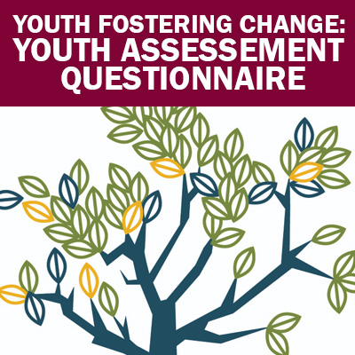 Select to open Youth Fostering Change Assessment